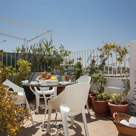 Puzol Singularstays