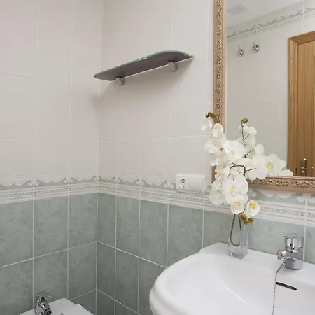 Puzol Singularstays