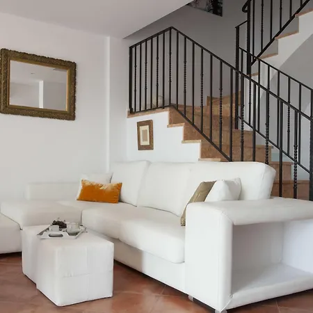 Puzol Singularstays *