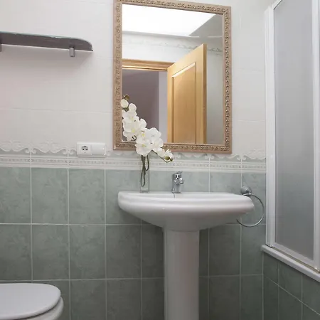 Puzol Singularstays