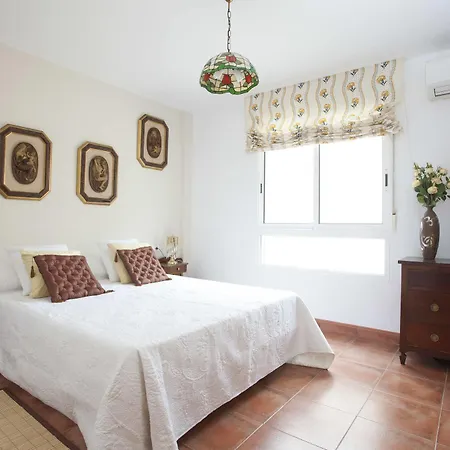 Puzol Singularstays *