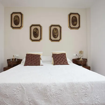 Puzol Singularstays