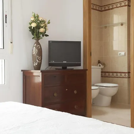 Puzol Singularstays *