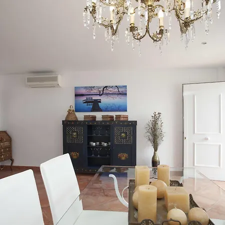 Puzol Singularstays *